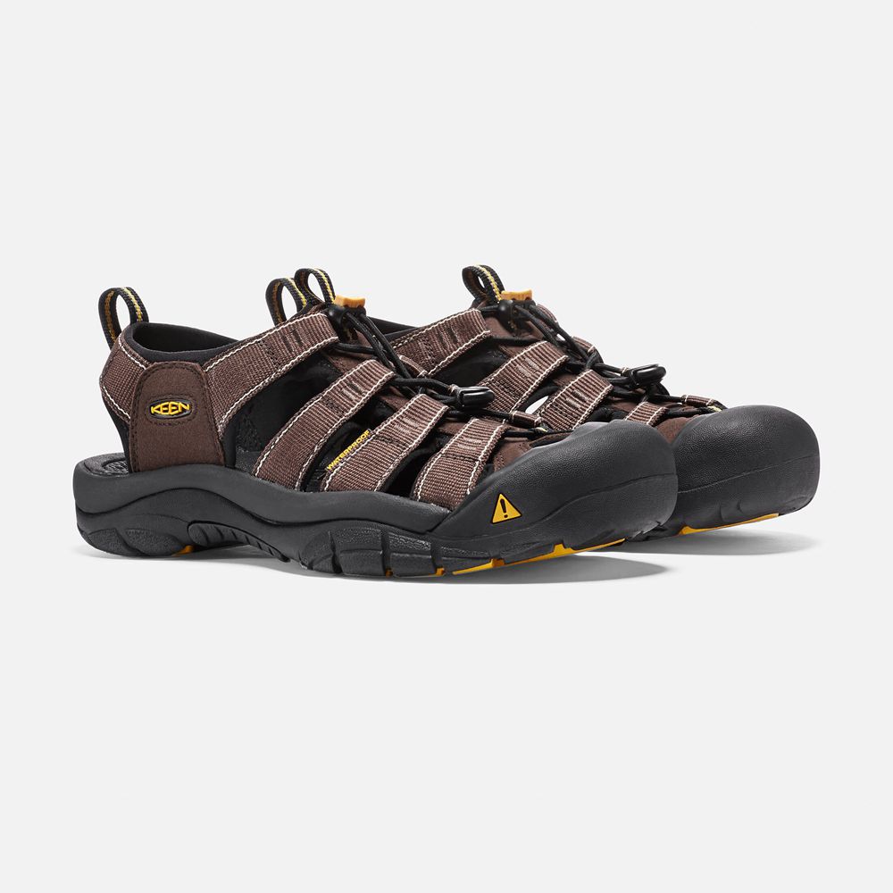 Sandales de Randonnée Keen Homme Marron/Noir | Newport H2 | IBKLR-1467